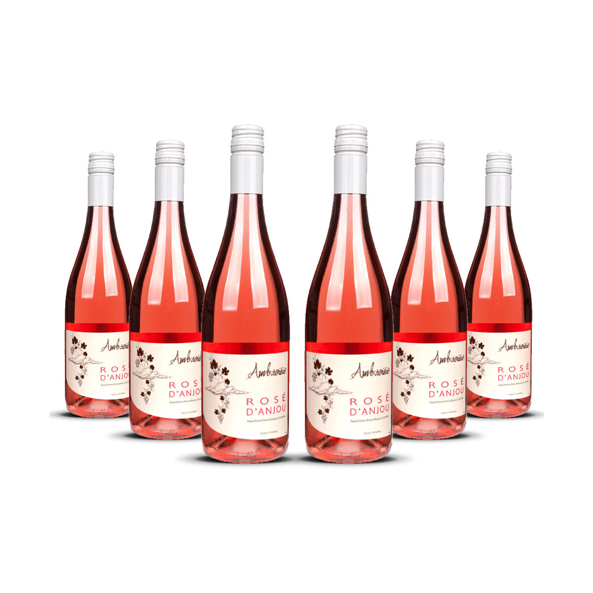 Ambroisie Rosé dAnjou 2025er Loire (6 x 0,75l)