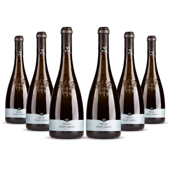 Cielo Pradio Friuli Pinot Grigio 2025er Friaul (6 x 0,75l)