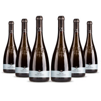 Cielo Pradio Friuli Pinot Grigio 2025er Friaul (6 x 0,75l)