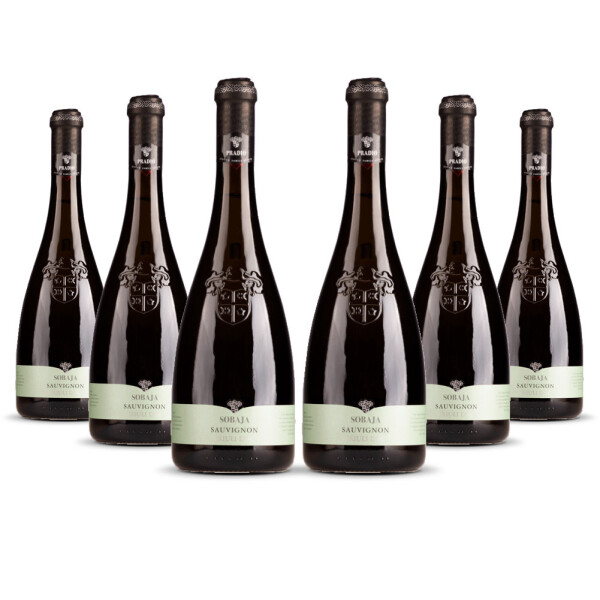 Cielo Pradio Friuli Sauvignon Blanc 2025er Friaul (6 x 0,75l)