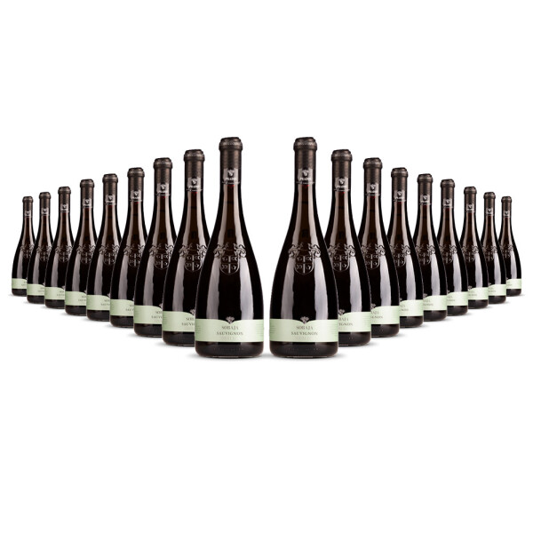 Cielo Pradio Friuli Sauvignon Blanc 2025er Friaul (18 x 0,75l)