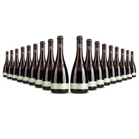 Cielo Pradio Friuli Sauvignon Blanc 2025er Friaul (18 x 0,75l)