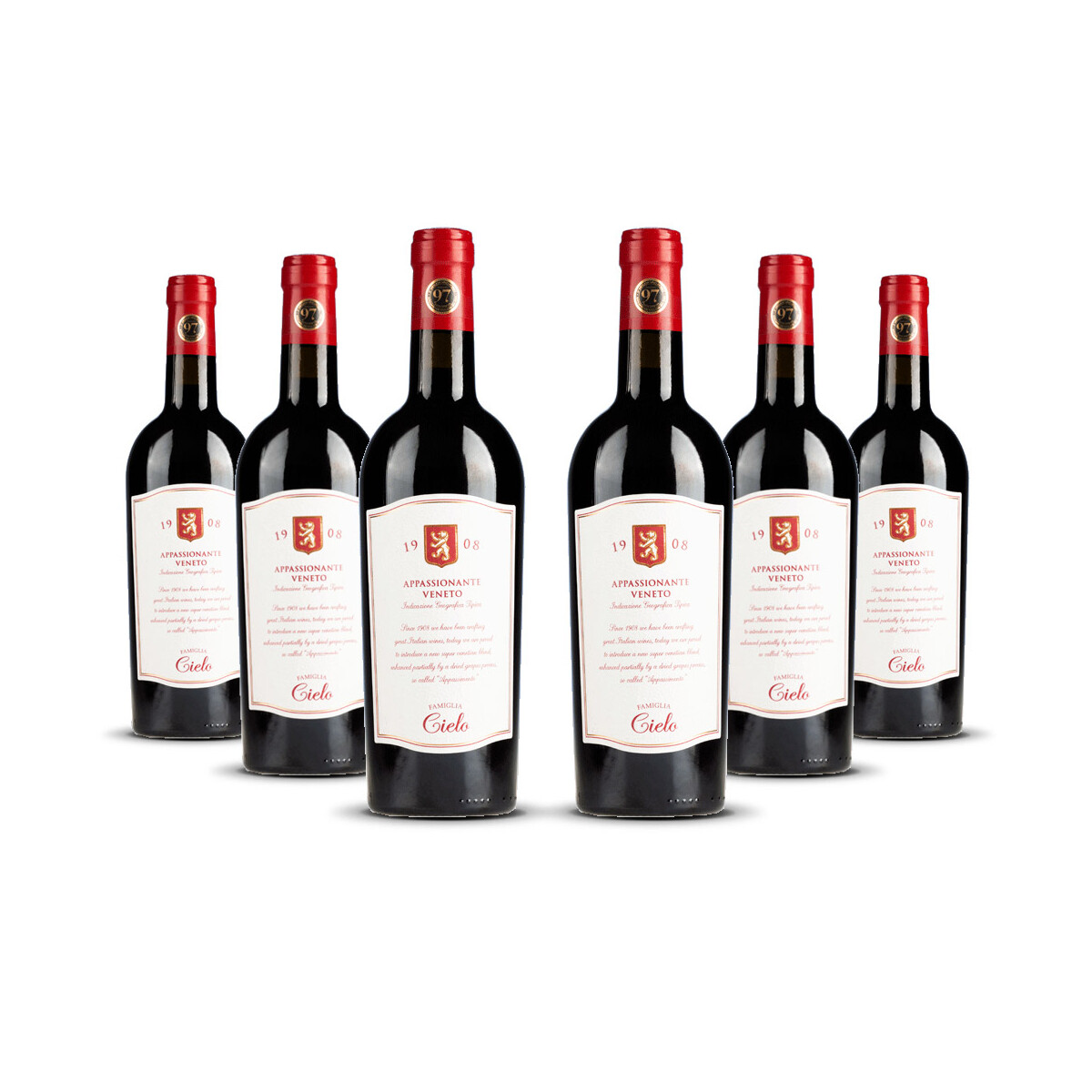 Cielo Appassionante Rosso Veneto 2022er Veneto (6 x 0,75l)