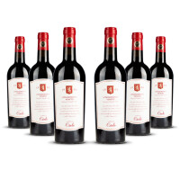 Cielo Appassionante Rosso Veneto 2022er Veneto (6 x 0,75l)