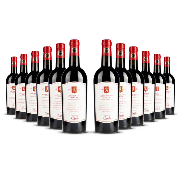 Cielo Appassionante Rosso Veneto 2022er Veneto (12 x 0,75l)