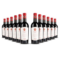 Cielo Appassionante Rosso Veneto 2022er Veneto (12 x 0,75l)