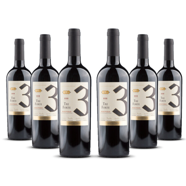 Quattro Conti Tre Forte Rosso Puglia 2025er Apulien (6 x 0,75l)