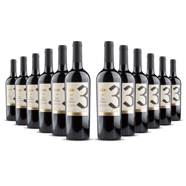 Quattro Conti Tre Forte Rosso Puglia 2025er Apulien (12 x 0,75l)