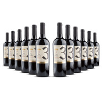 Quattro Conti Tre Forte Rosso Puglia 2025er Apulien (12 x 0,75l)