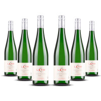 Weingut Leth Roter Veltliner Klassik (bio) 2025er Nieder Österreich (6 x 0,75l)
