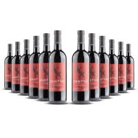 Zantho Zweigelt Burgenland 2023er Burgenland (12 x 0,75l)