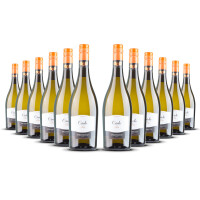 Cielo Prosecco Frizzante screwcap Veneto (12 x 0,75l)