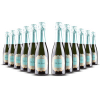 Villa Conchi Brut Cava Seleccion 0.375l Penedès (12 x 0,375l)