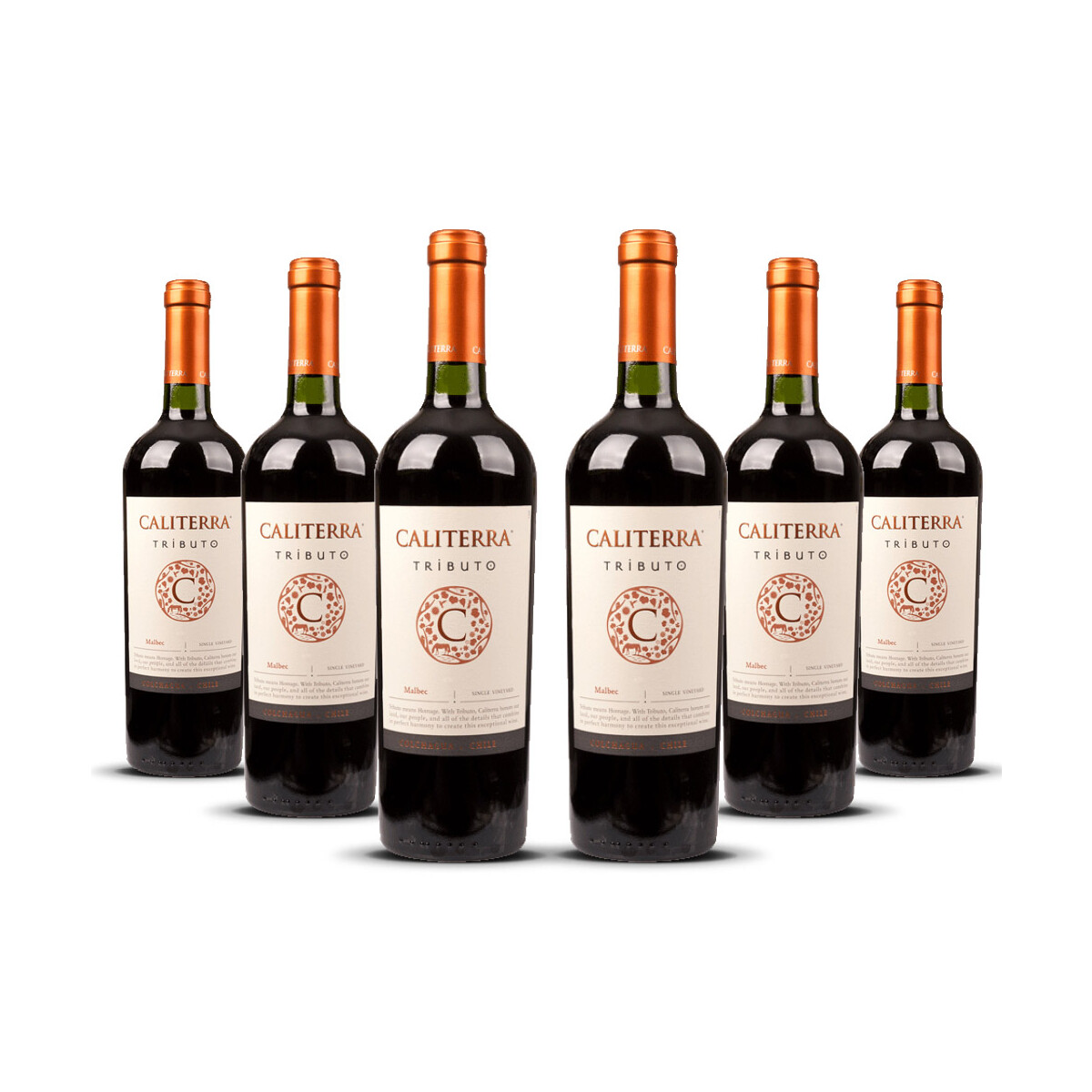 Caliterra Tributo Malbec 2016er Colchagua Valley (6 x 0,75l)