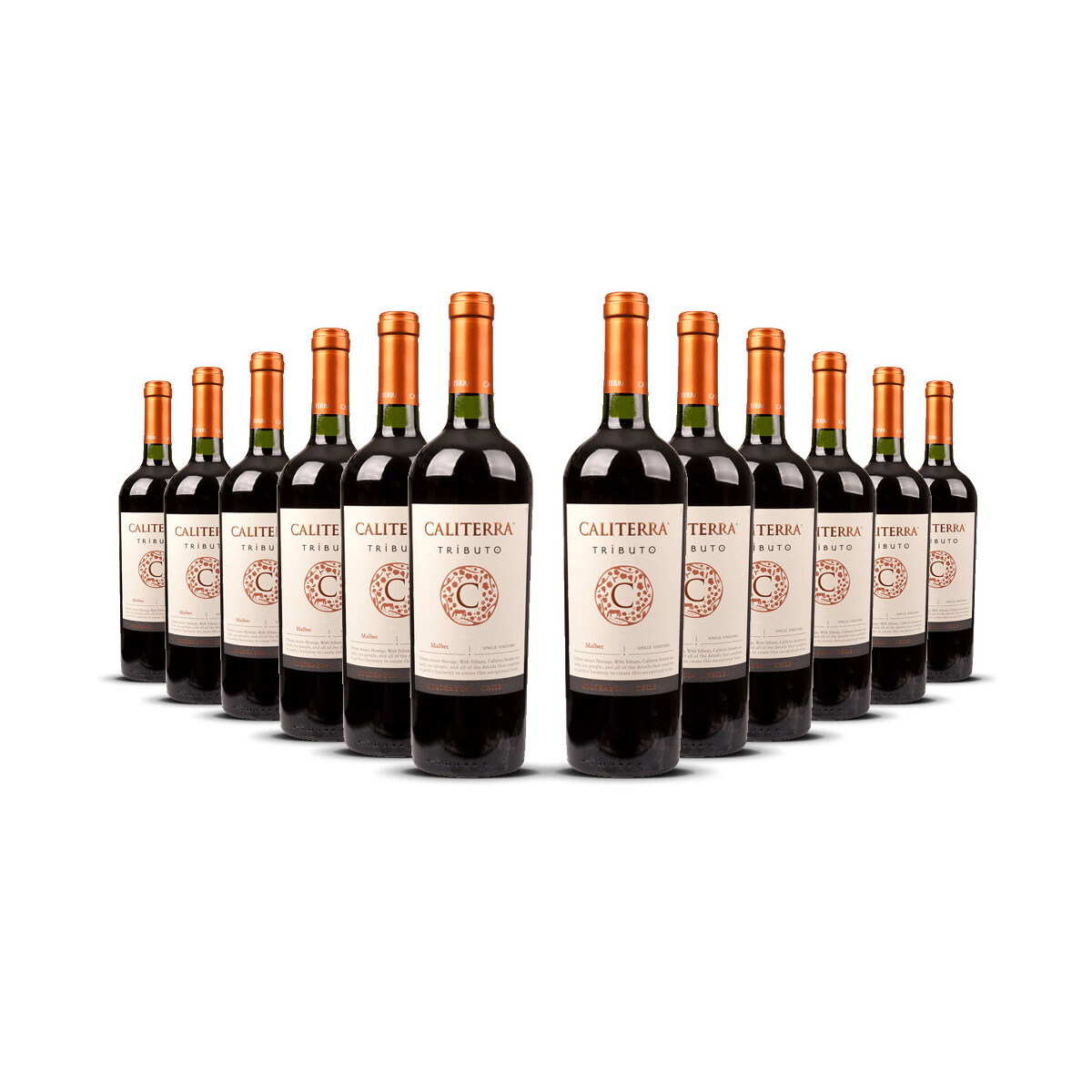 Caliterra Tributo Malbec 2016er Colchagua Valley (12 x...